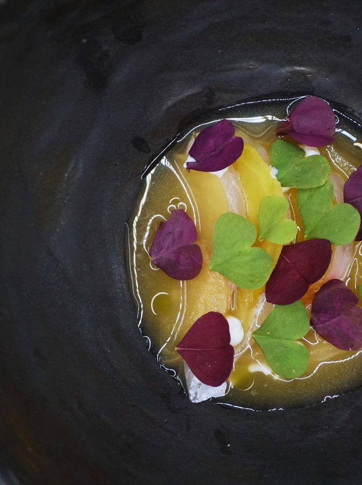 Gourmet-Fisch in Molke Gewürztee mit Quendelblüten