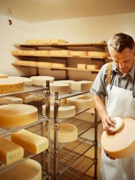 Cheesemaker brushing a wheel of cheese in a maturing room with shelves full of cheese wheels