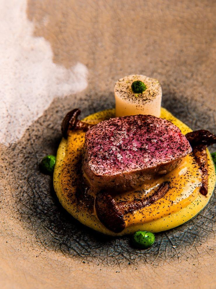 Gourmet-Rindfleischgericht mit Kartoffelpüree, Pilzen und grüner Kräutergarnitur auf Keramikteller