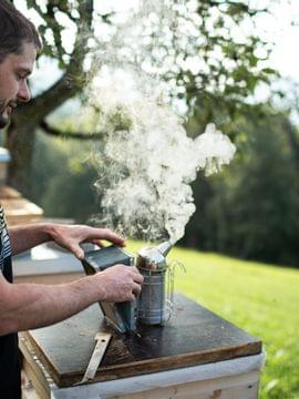 Imker benutzt Smoker neben Bienenstöcken in sonniger grüner Wiese